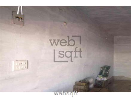 Shop-Mulgi for Sale